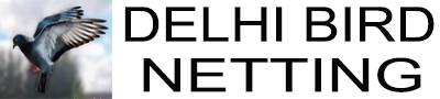 delhibirdnetting