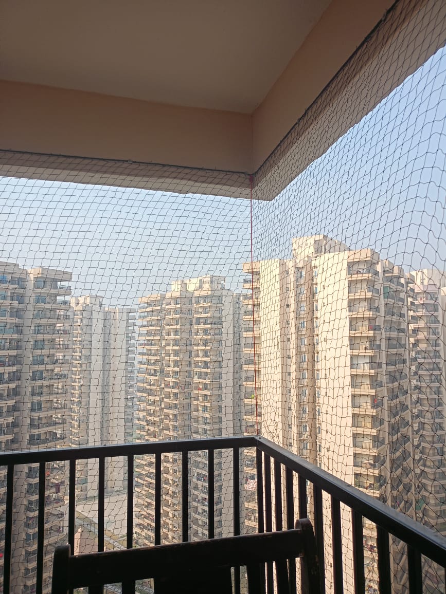 birdnettingdelhi